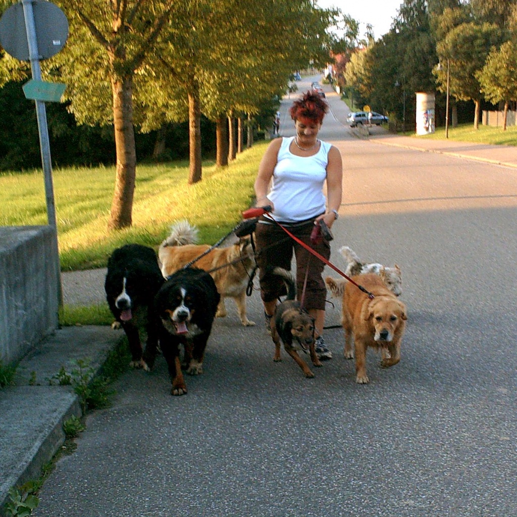 Tierpension für Hund, Katze, Maus u.a. - Pflegestellen - Heuchelheim Klingen