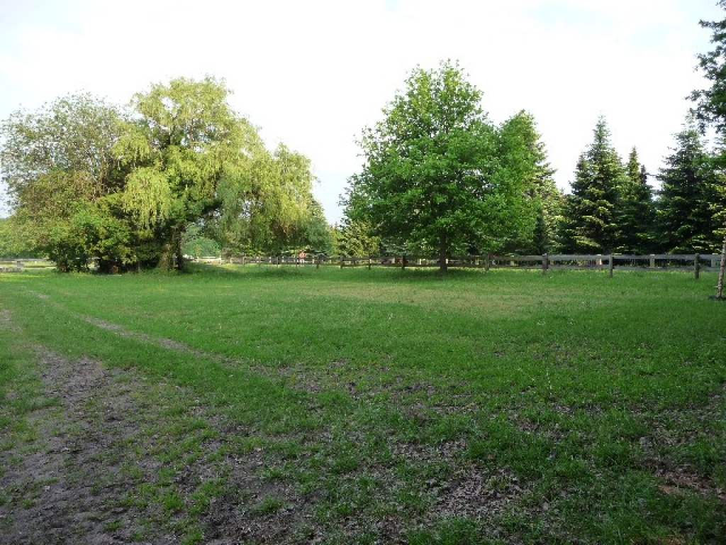 Einstellplätze mit Rundumservice - Pferde - Wedemark