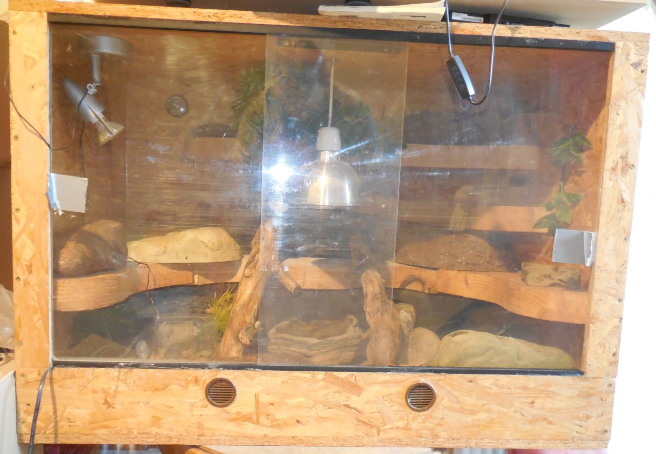 Leopardgecko mit Terrarium - Futtertiere Allgemein - Krummhörn