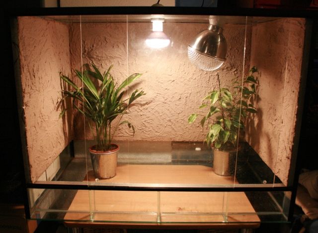 Terrarium 60hx80bx50t mit rückwand und beleuchtung - Terrarien - Offenbach am Main