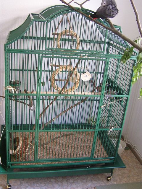Vogelkäfig von KINGS CAGES für mittlere Papageien zu verkaufen - Zubehoer Haustiere - Bremen
