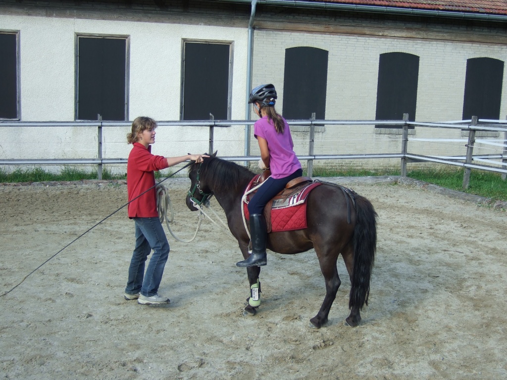Reitferien, Tages- und Weekendaufenthalte - Pferde - Eriswil/Schweiz