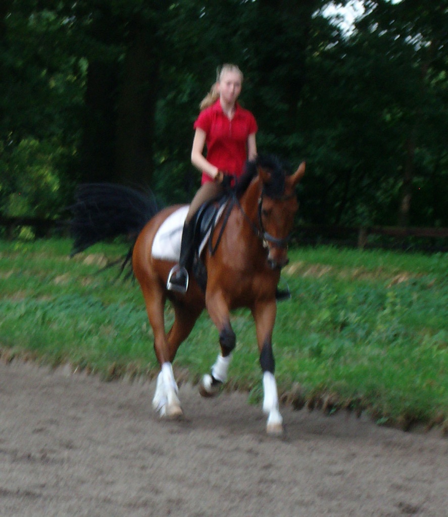 Hallo liebe Ponybesitzer! =D - Pferde - Hamburg