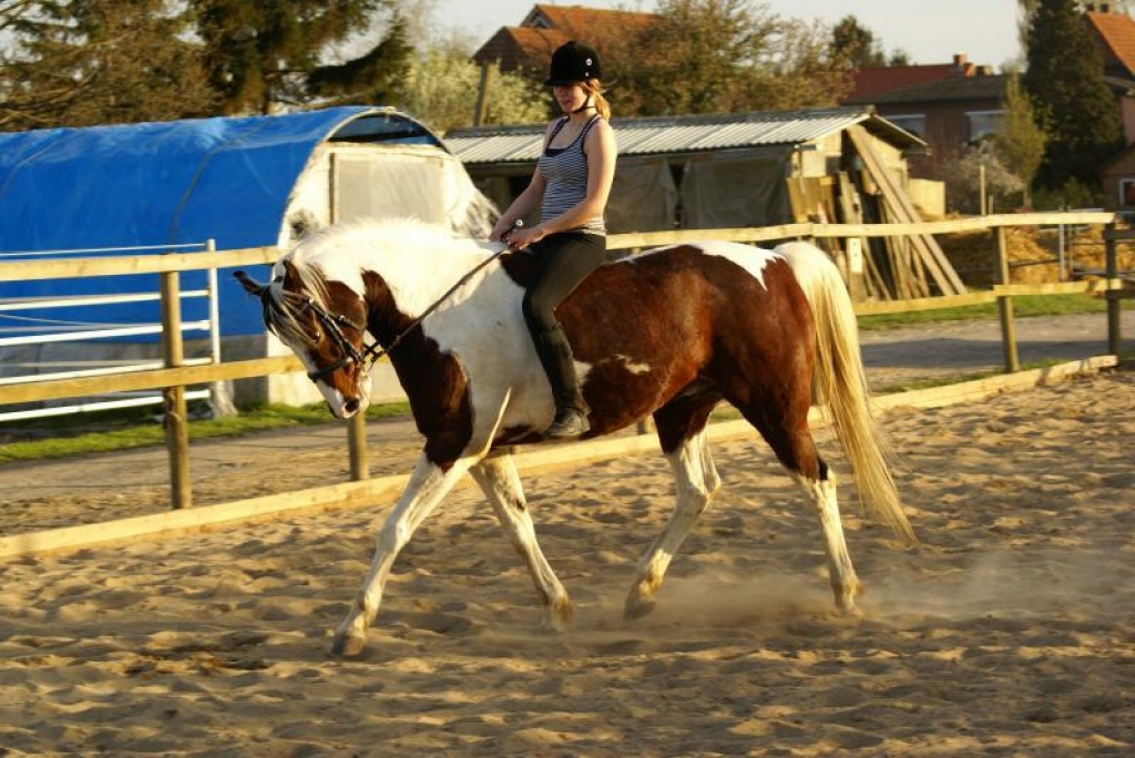Nettes, Zuverlässiges Mädchen sucht Reitbeteiligung in Hamburg. - Pferde - Hamburg