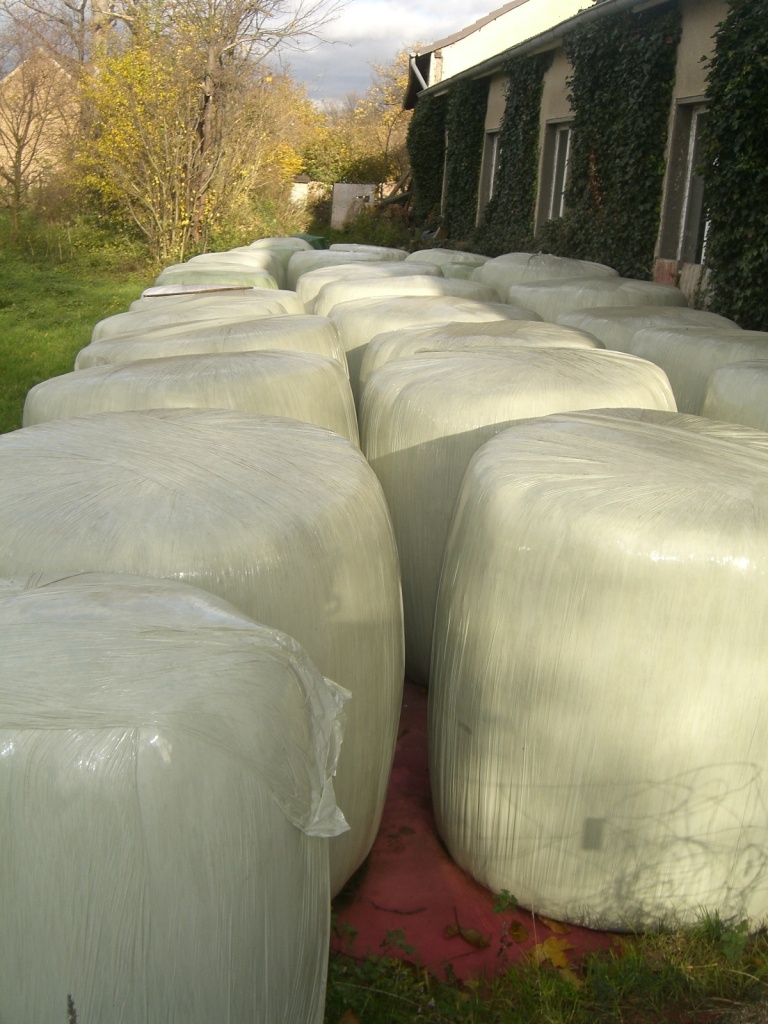 35 Ballen Rundballensilage bester Qualität - Futtertiere Allgemein - Zülpich