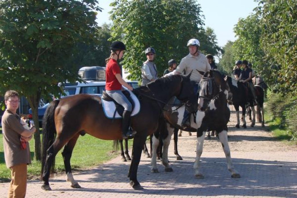 Biete Reitbeteiligung in 23701 Süsel(Ostholstein) - Pferde - 23701 Süsel OT Gömnitz