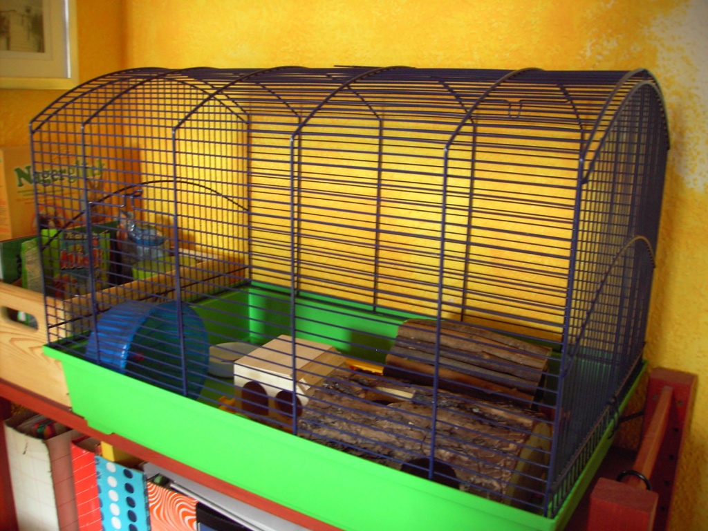 Großraum-Hamsterkäfig mit Zubehör - Nagetiere - Osnabrück