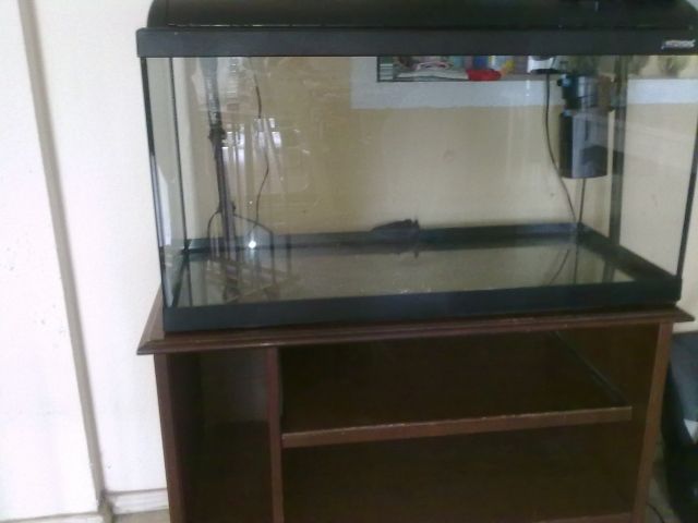 100l aquarium mit unterschrank - Aquarien und Zubehoer - wesseling