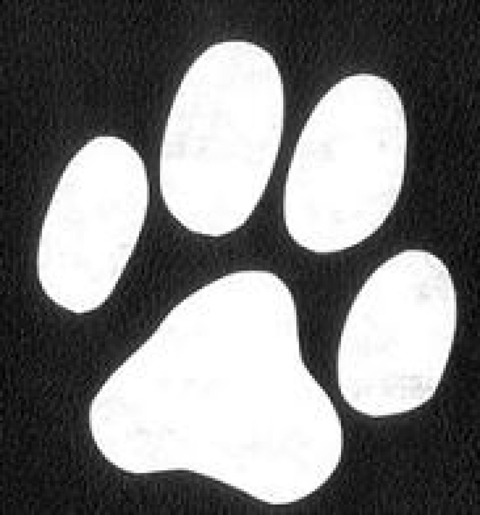Petdomain.de Heimtierbedarf - Click und Schick ! - Zoohandlungen - Bünde