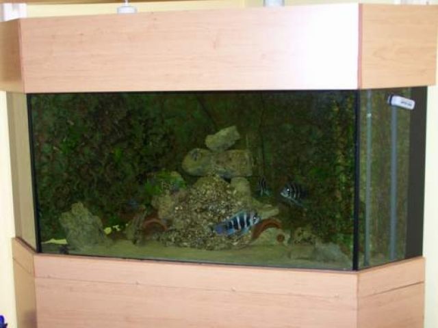 Mega Aquarium Kombination 1300 Liter - Aquarien und Zubehoer - Dahlenburg