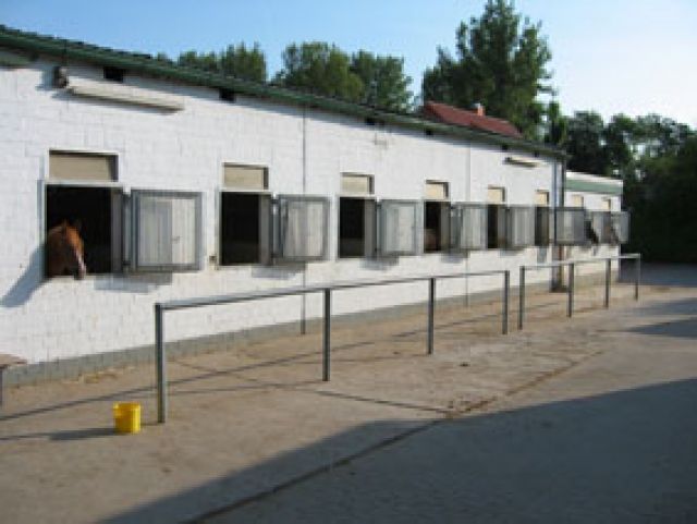 Pferdeboxen/Ponyboxen in Südhannover-Laatzen frei - Pferde - Laatzen