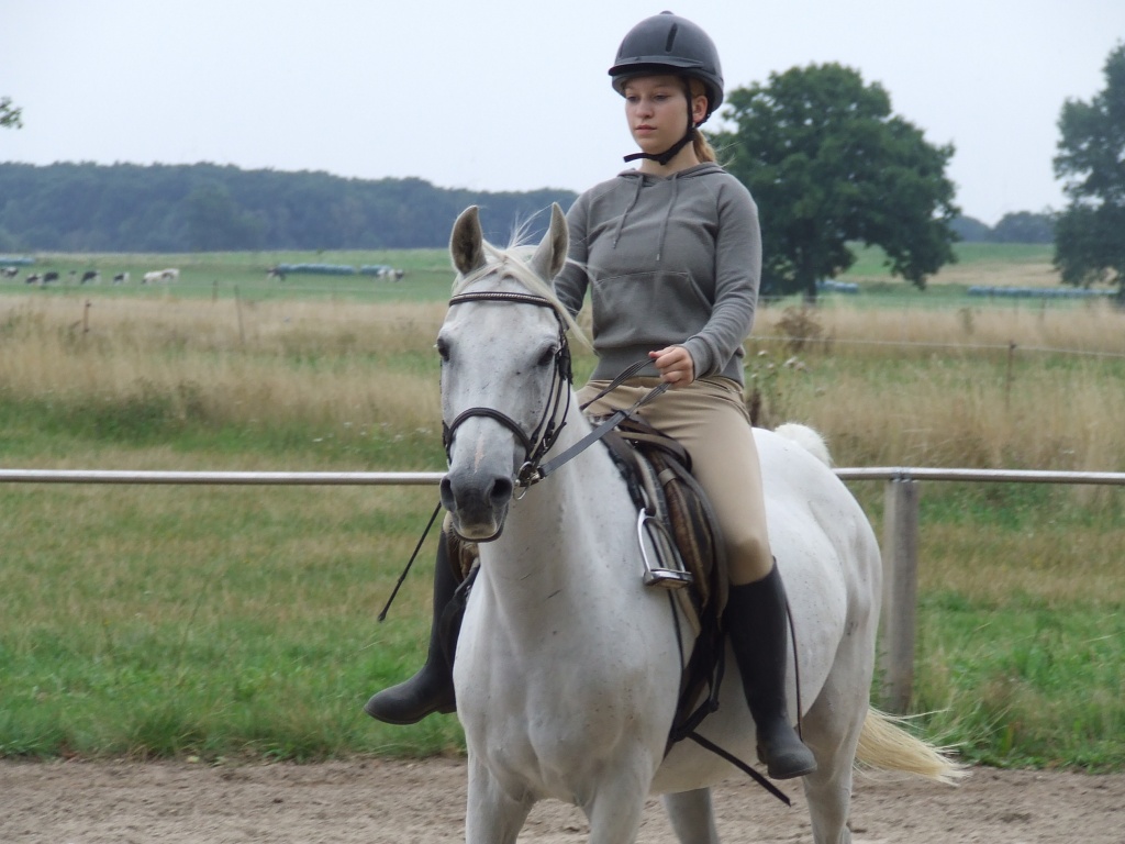Suche Reitbeteiligung in Wolfenbüttel und Umgebung - Pferde - Wolfenbüttel