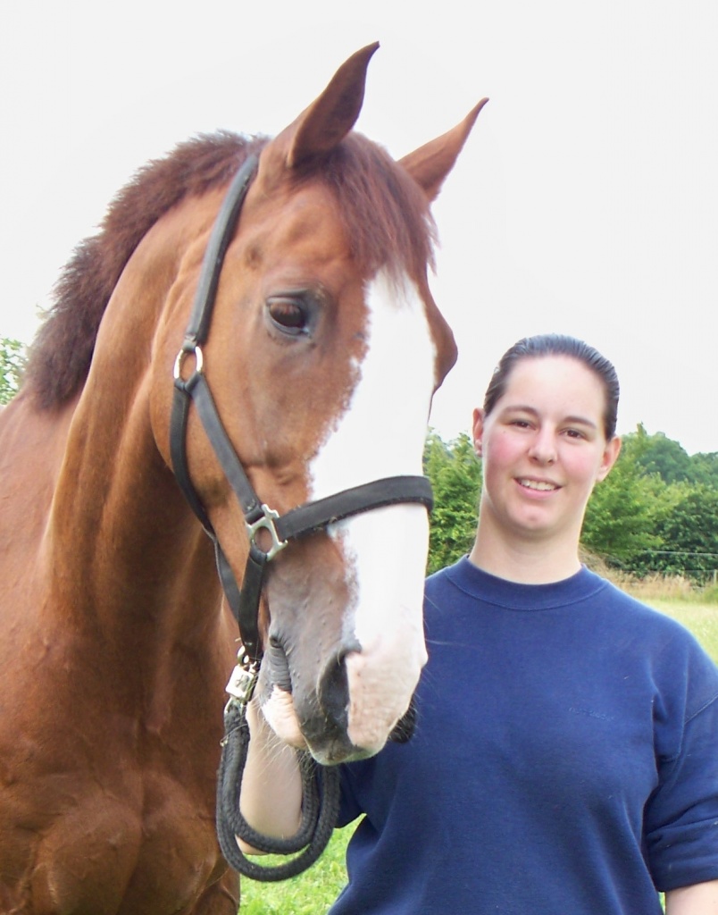 Suche mobile/n Reitlehrer/in - Reitunterricht - Tökendorf