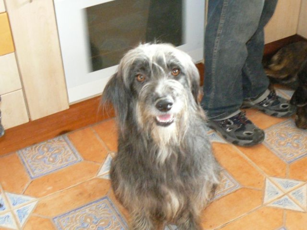 Flugpate ab Alicante - Flugpaten - Walldorf