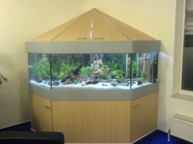 Komplettaquarium 1200 Liter - Aquarien und Zubehoer - Bad Salzungen