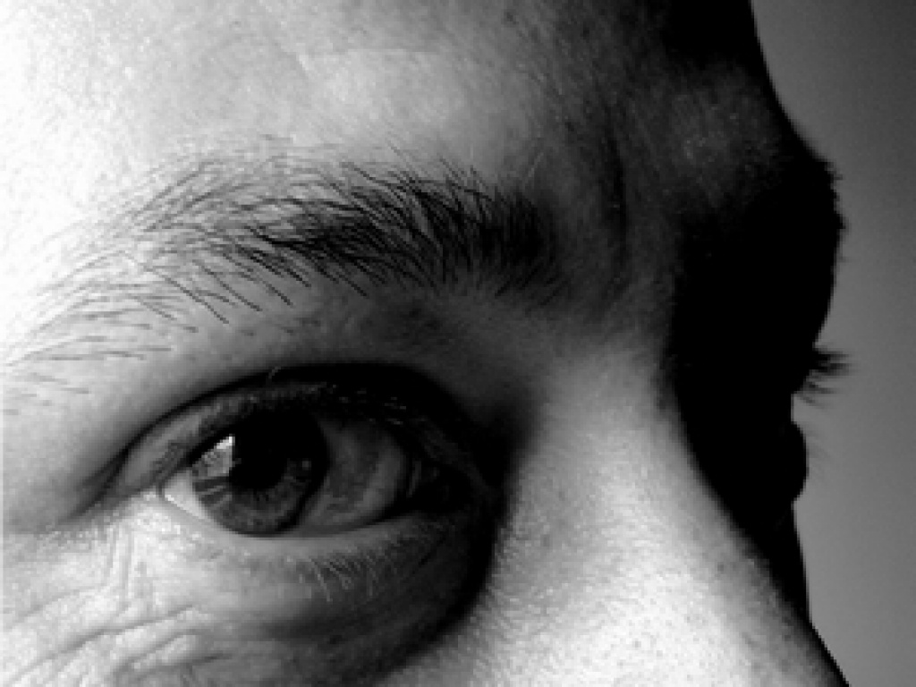 Wer hätte gerne schöne Fotos von seinem Tier? - Tierboersen - Bremen