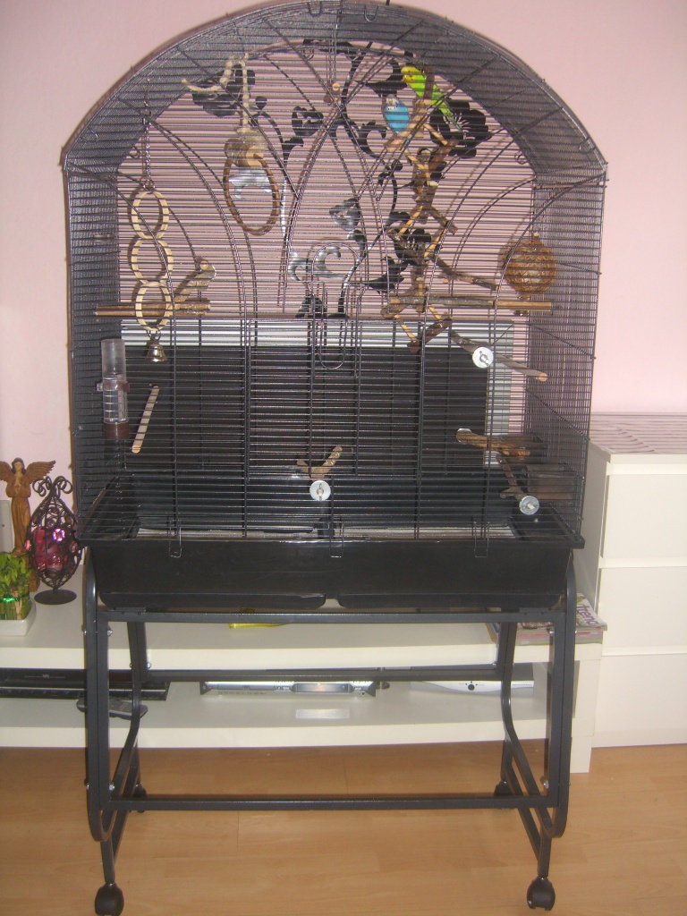 MEGA XXL ! VOGELVOLLIERE mit zwei Wellensittichen - Tierboersen - Herne