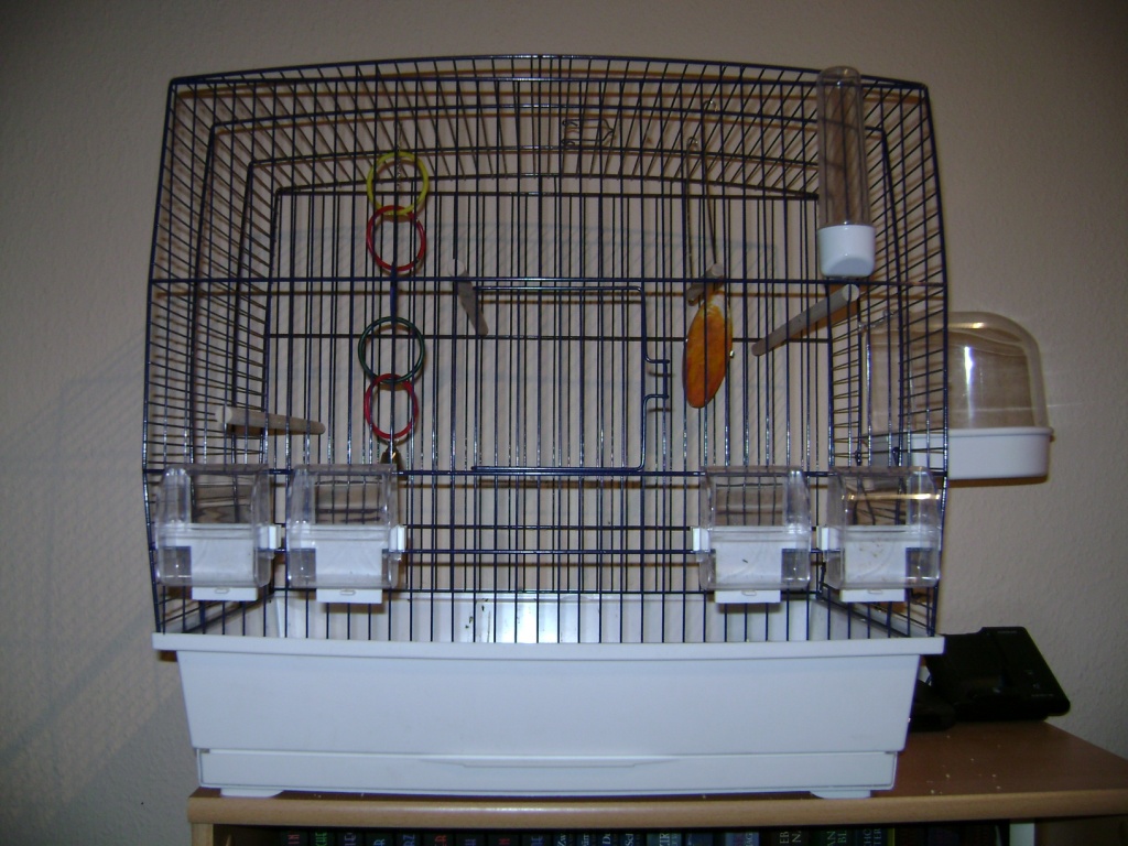 Neuwertiger Käfig mit Zubehör zu verkaufen - Voegel - Berlin