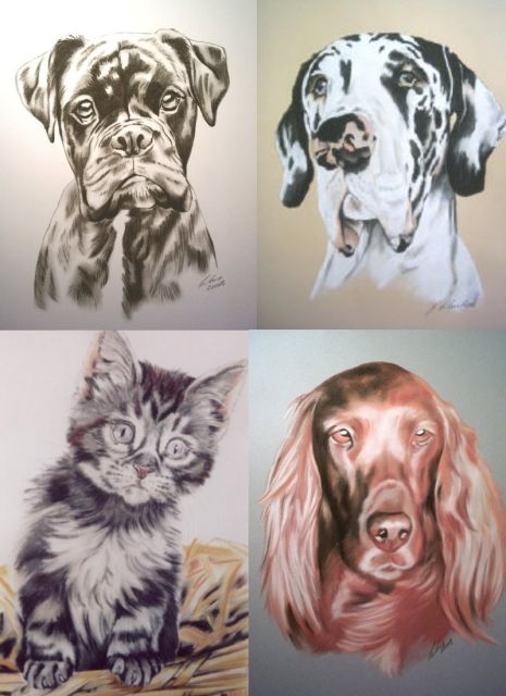 Tierportraits nach Fotovorlage - Zubehoer für Haustiere - Hamburg