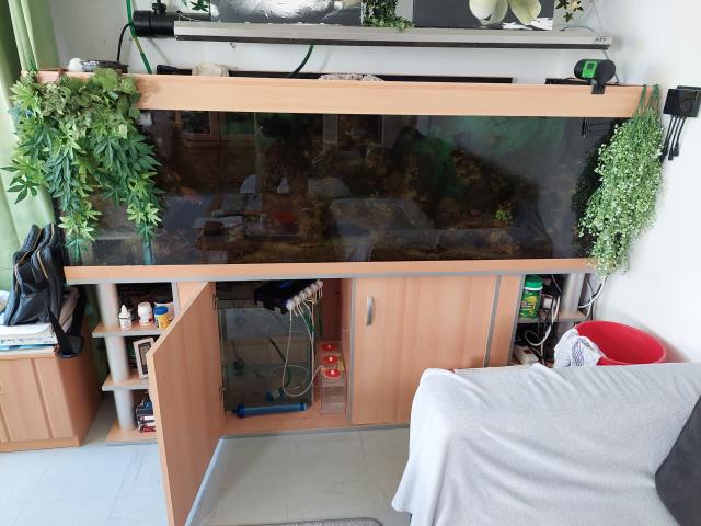 Meerwasseraquarium kompl. 850 L, 2 m x 0,7 x 0,6 abzugeben oder Tausch - Aquarien und Zubehoer - Potsdam