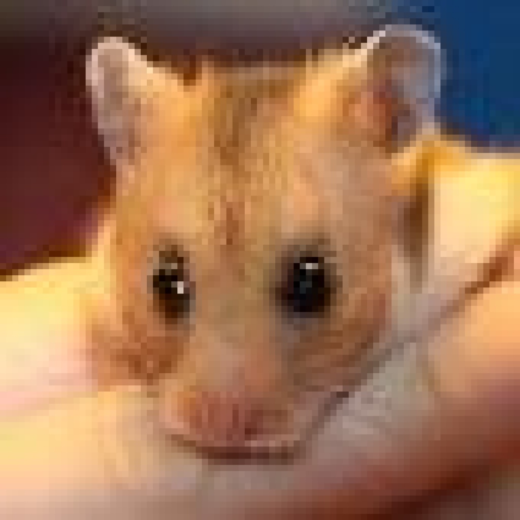 Verschenke Hamster - Nagetiere - Leipzig