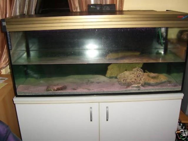 250 Liter Aquarium mit Zubehör und Unterschrank zu verkaufen - Aquarien und Zubehoer - Düsseldorf