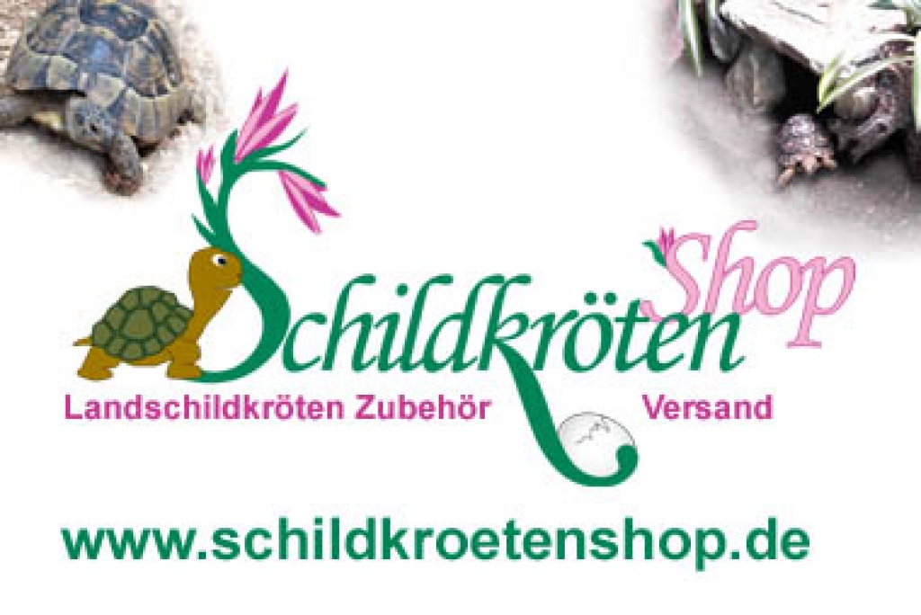 Schildkröten Shop Landschildkröten Zubehör Versand - Zoohandlungen - Heilbronn