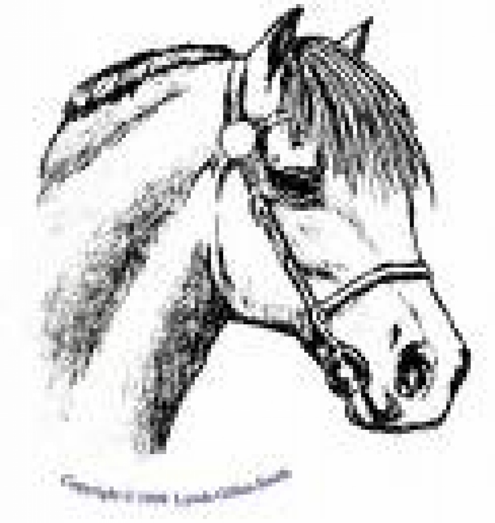 Suche reitbeteiligung - Pferde - Haiger