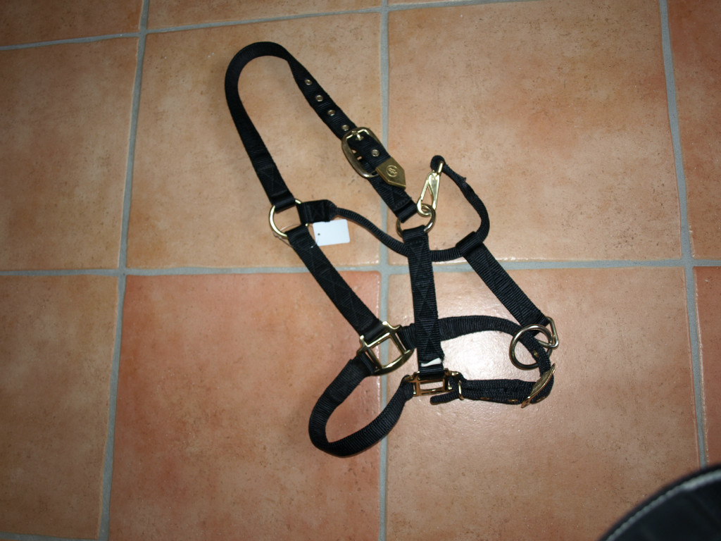 Halfter VB/Cob von BR - Pferde - Gimbsheim