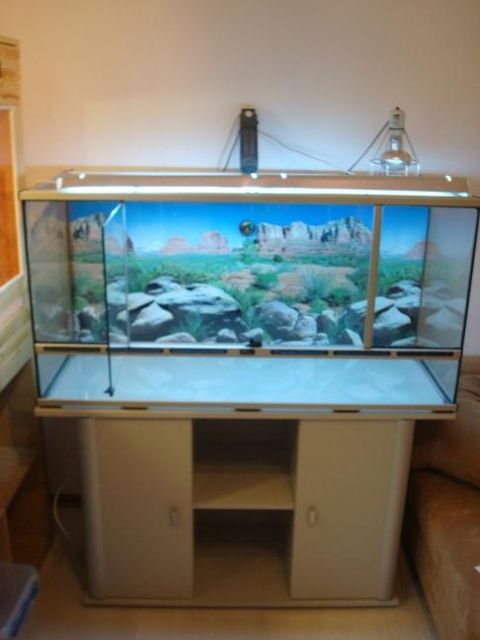 Terraium inkl. Unterschrank und Zubehör - Terrarien - Frankenthal