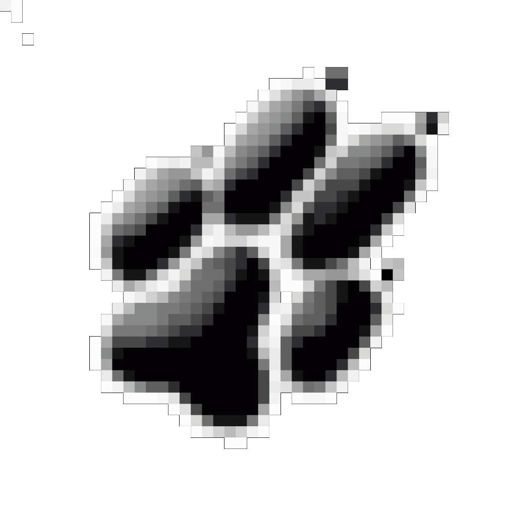 Dringend: Flugpate von Mallorca nach Düsseldorf gesucht - Flugpaten - Castrop-Rauxel