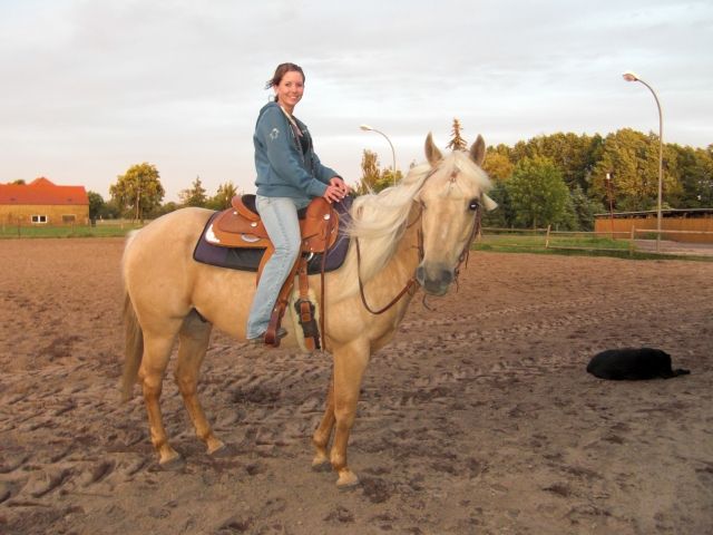 Reitbeteiligung gesucht - Reitbeteiligung - Hannover