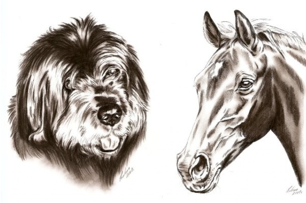 Tierportraits nach Foto - Dienstleistungen - Hamburg