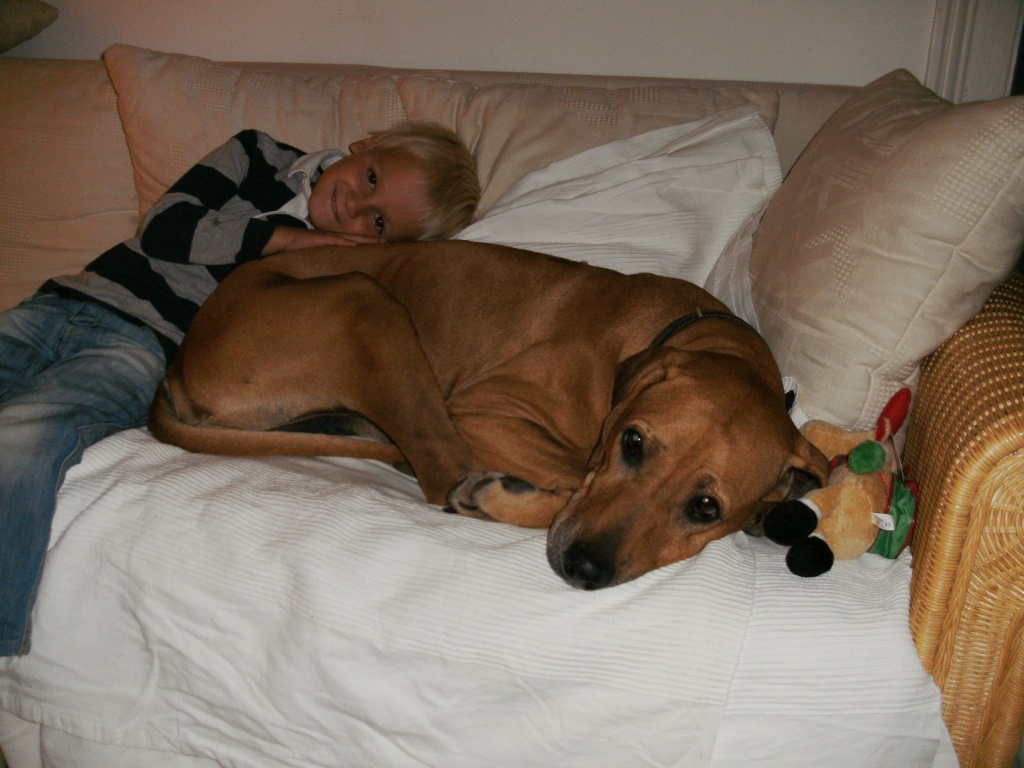 Wurfankündigung - Hunde - Mannheim