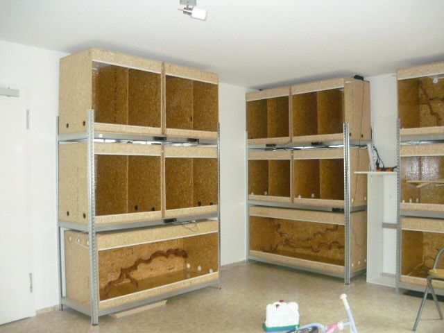 Komplette Holzterra.anlage Hammer Preis!!! - Terrarien - erfurt
