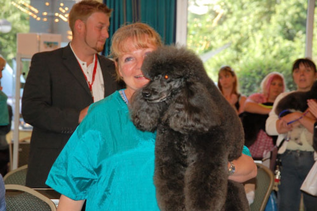Hundesalon Minden - Pflegestellen - Minden