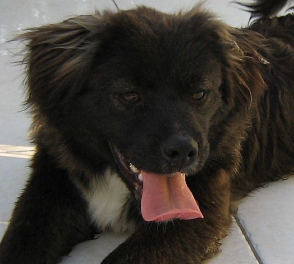 Dringend FP Athen - Hanover/ Berlin - Flugpaten - Sankt Katharinen