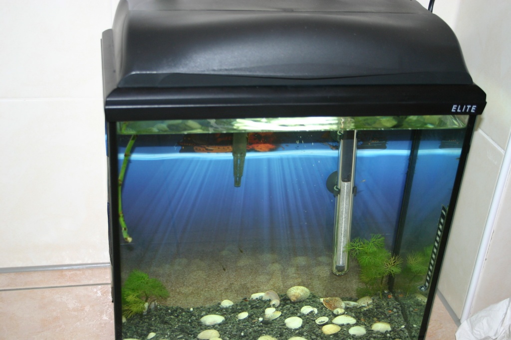 Aufzuchtbecken - Fische - Mettmann