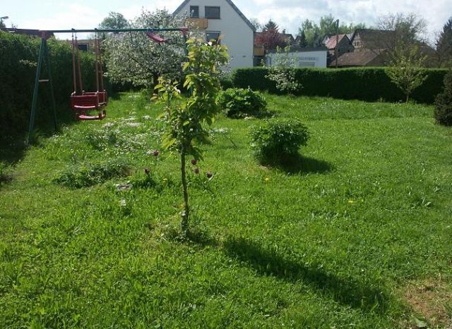 Zuverlässige Tiersitter - Zubehoer für Haustiere - Vaihingen/Enz