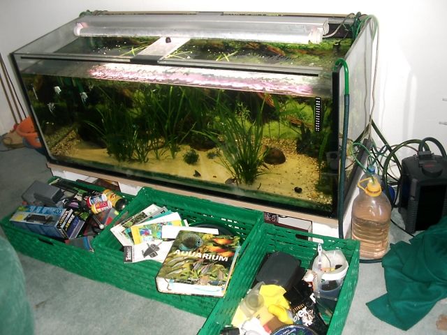 540l Aquarium wegen Auflösung 150x60x60, CO2, Lieferung möglich Komplett - Aquarien und Zubehoer - Berlin