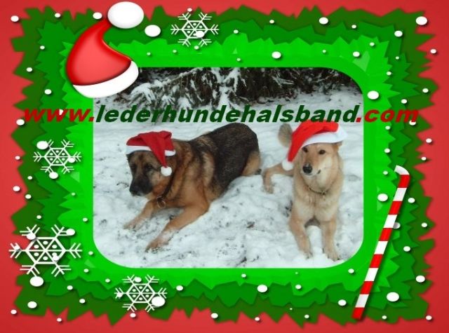 Geflochtene Lederhalsbänder - Zubehoer für Haustiere - Spiesen-Elversberg