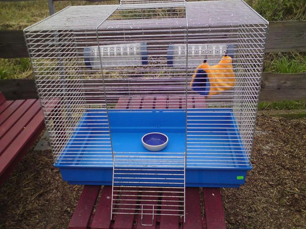 Käfig Nagerkäfig für z.B. Ratten, Frettchen, Chinchillas etc. - Nagetiere - Fronhausen