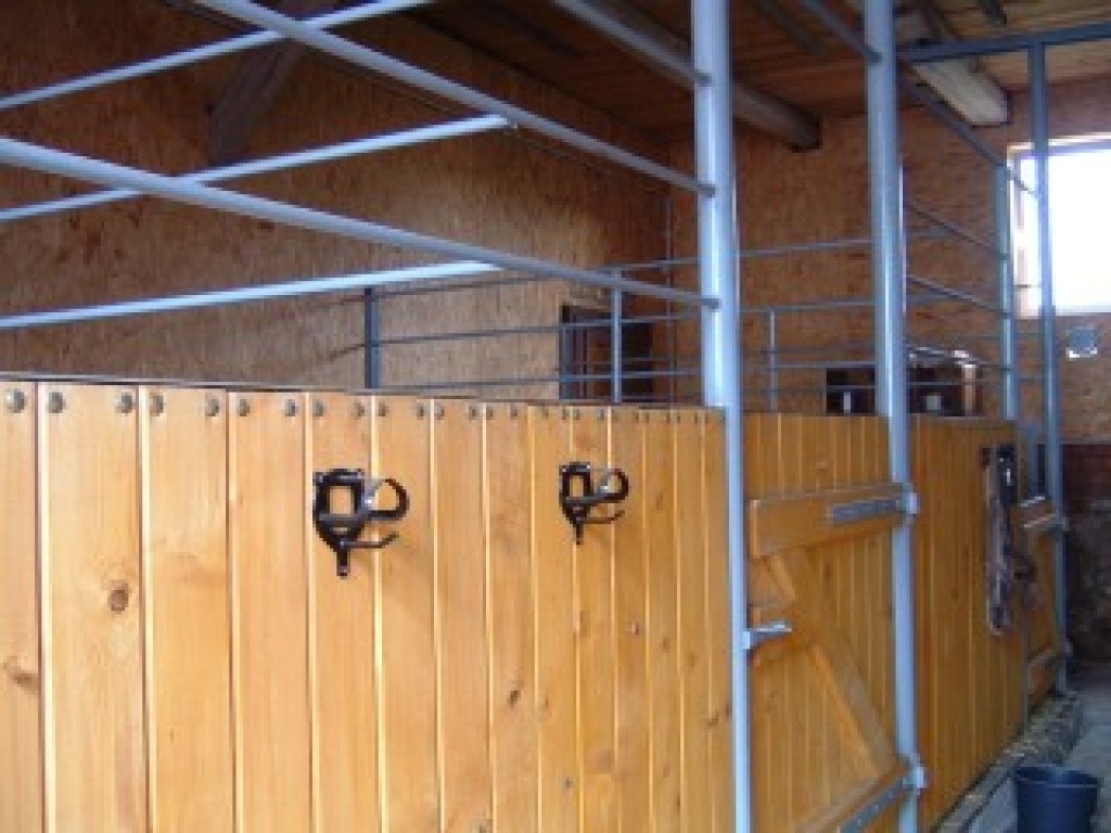 Nette kleine Stallgemeinschaft hat noch Boxen Frei! - Pferde - Heinsdorfergrund