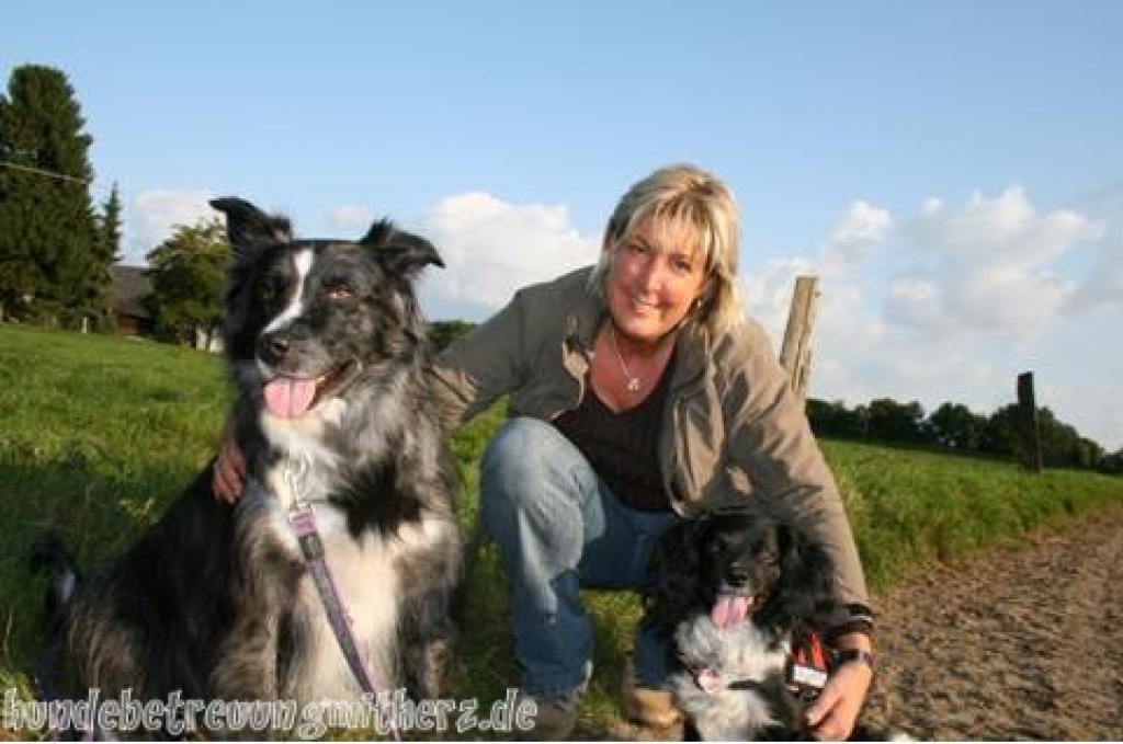 Hundebetreuung und Gassiservice mit Herz Bergisch Gladbach - Hunde - Bergisch Gladbach