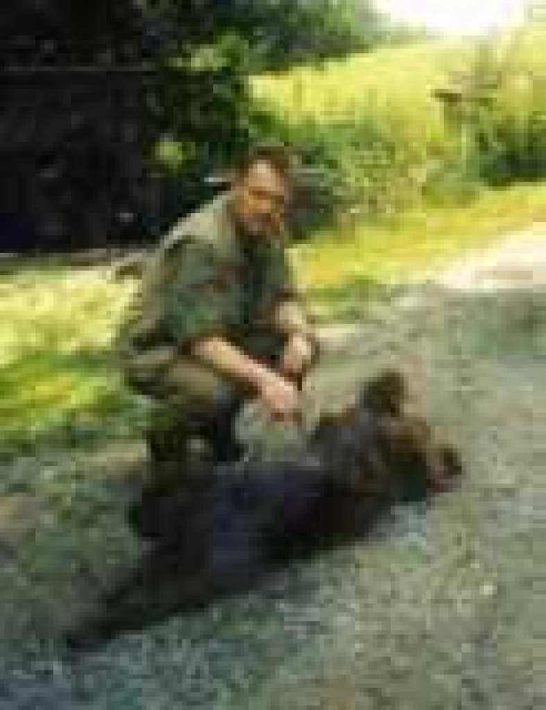 Hundeschule-Hundebetreuung - Pflegestellen - Schwandorf