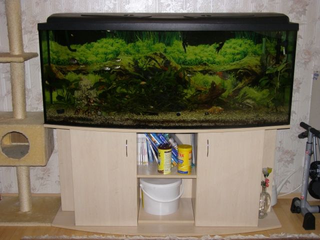Komplett Aquarium +Zubehör. TOP ZUSTAND - Aquarien und Zubehoer - Münster
