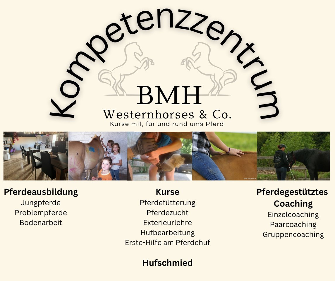 Kurse Rund ums Pferd - Weihnachtsaktion - Sonstiges - Greiz