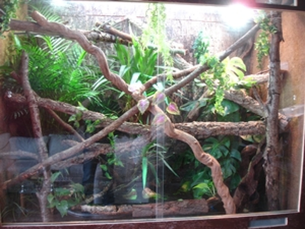 Terrarium 200x100x100 cm komplett mit Technik!! - Reptilien - Köln