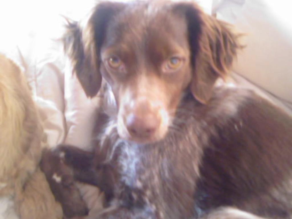 FLUGPATE von DORTMUND nach MALLORCA gesucht... - Flugpaten - Dortmund