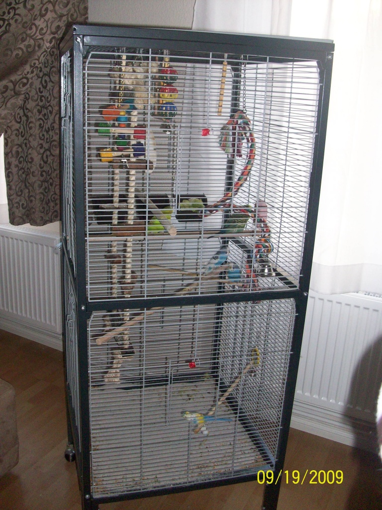 4 Wellensittiche inkl. Vogelvoliere (wie neu) abzugeben! - Tierboersen - Berlin